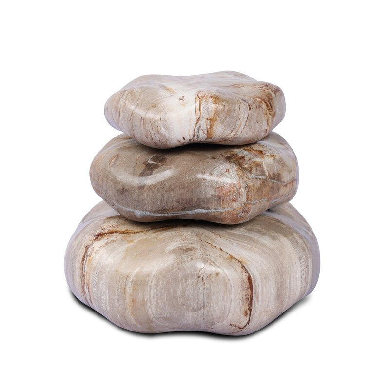 Petrified Wood Organic Sculpture, Set Of 3