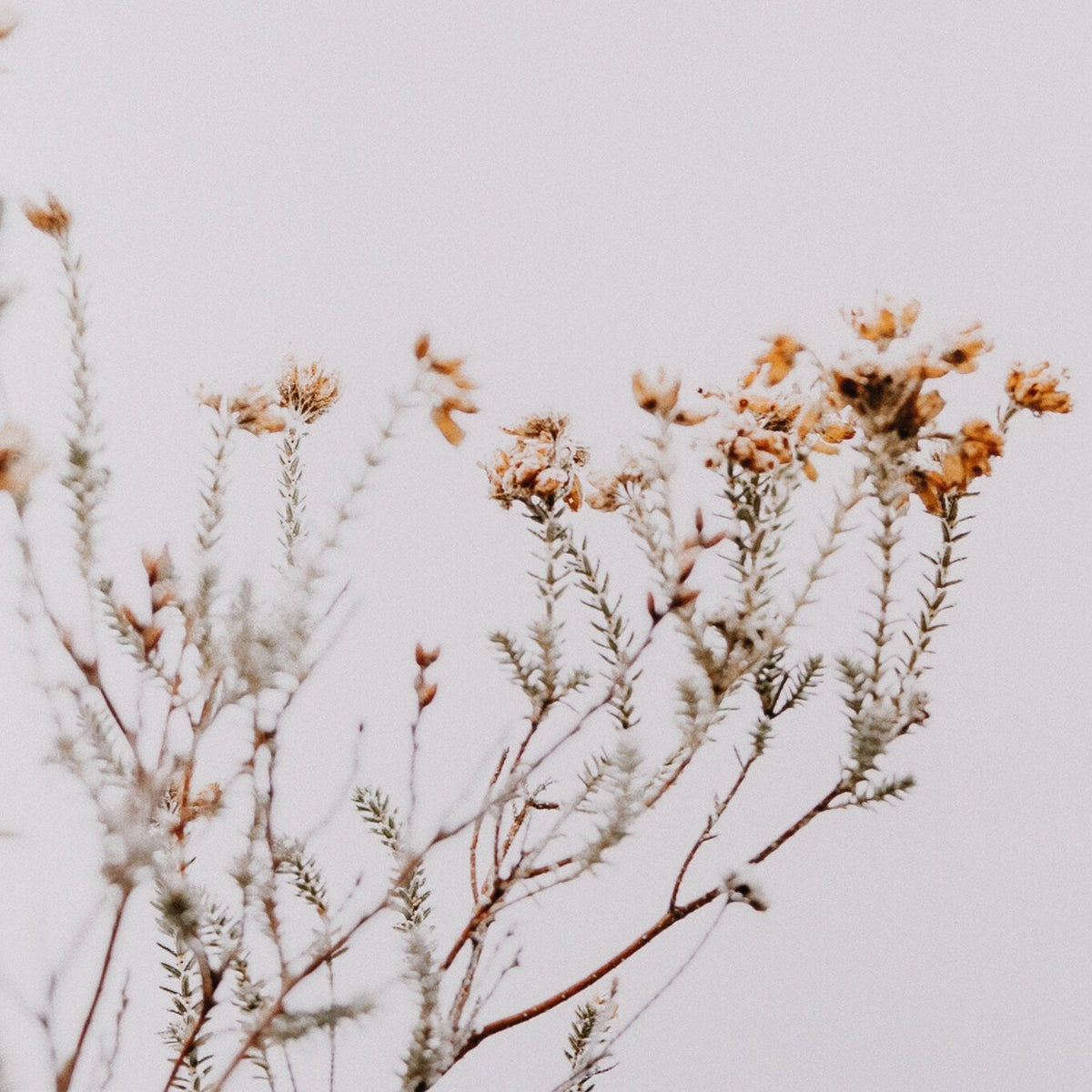 In The Details I By Annie Spratt