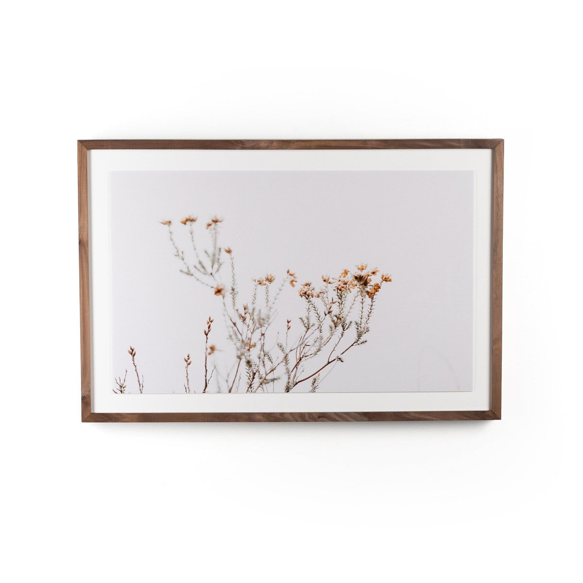 In The Details I By Annie Spratt