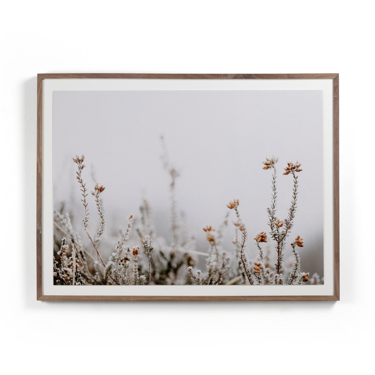 In The Details Ii By Annie Spratt