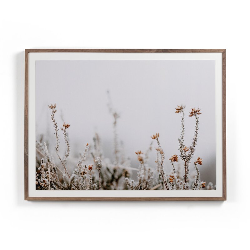 In The Details Ii By Annie Spratt