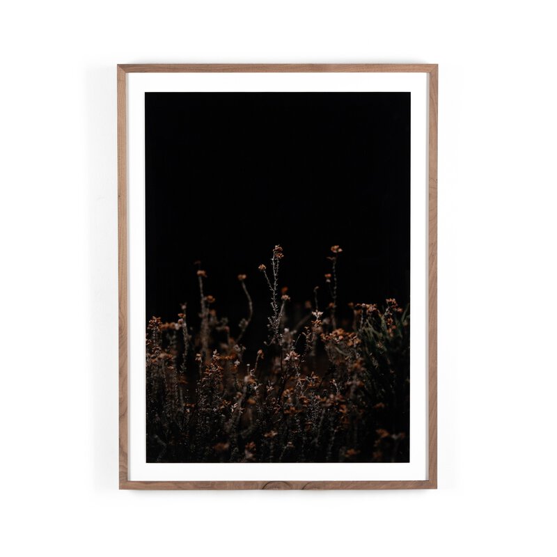 Escape I By Annie Spratt