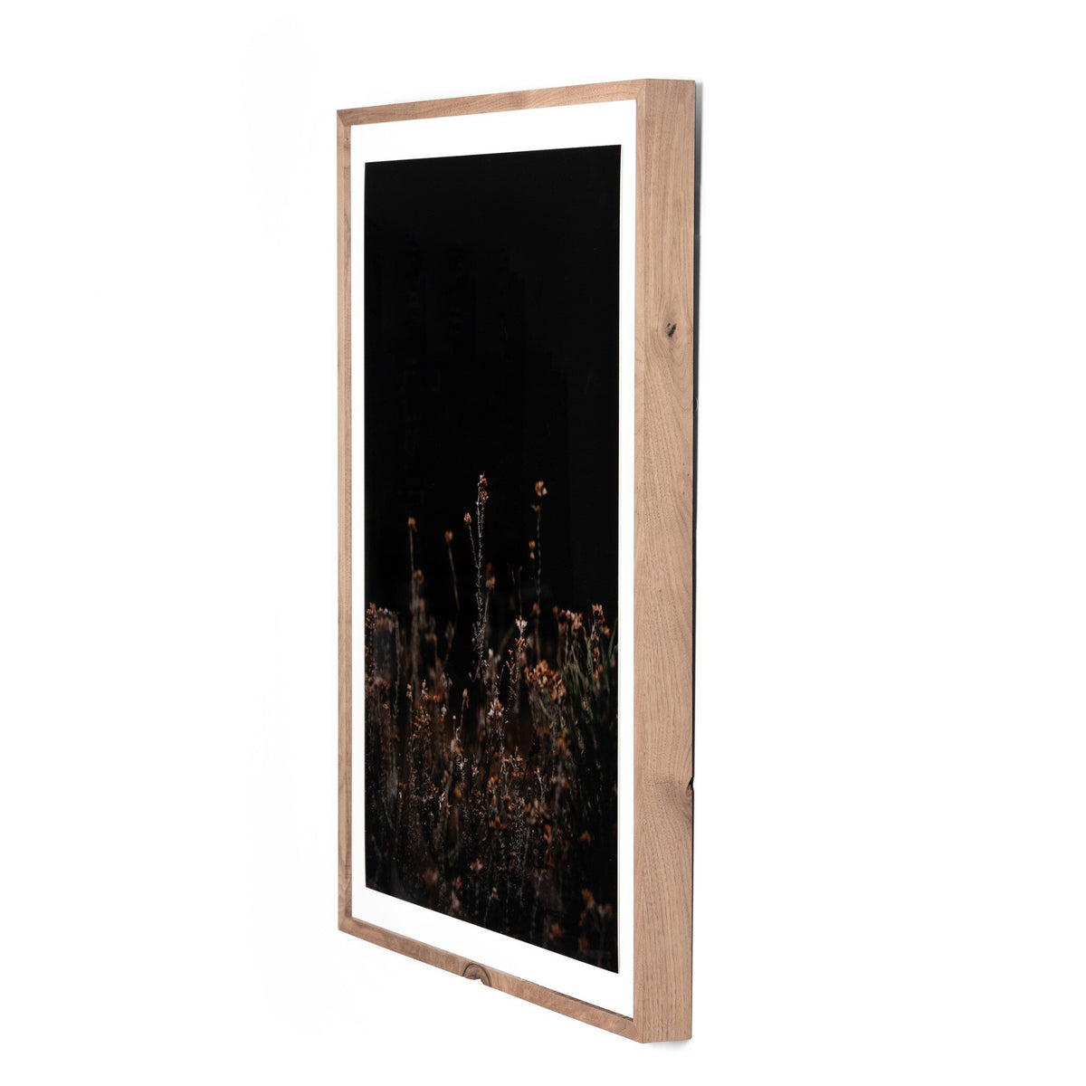 Escape I By Annie Spratt