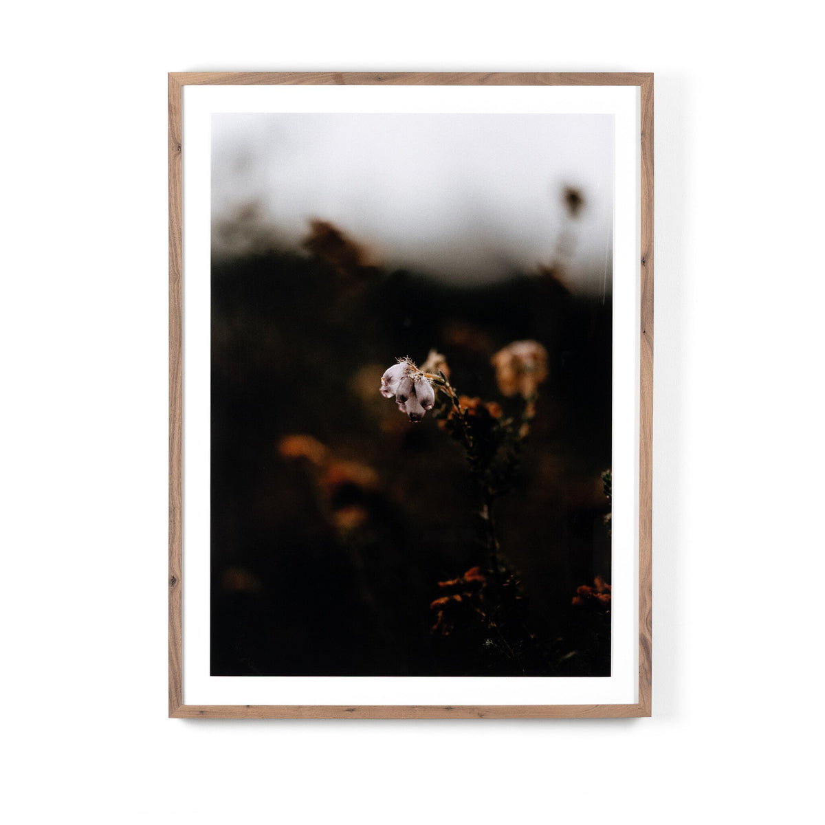 Escape Ii By Annie Spratt
