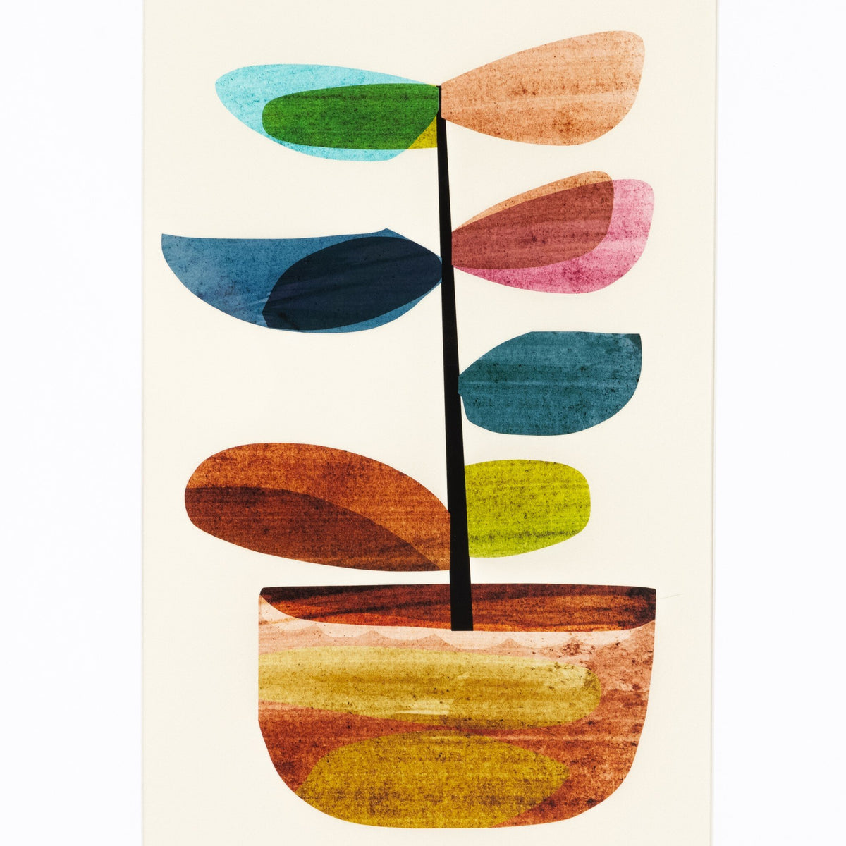 Pot Plant Ii By Dan Hobday