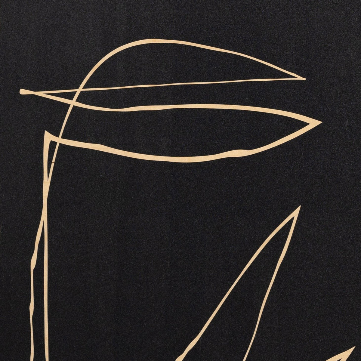 Abstract Botanic Line Drawing  By Roseanne Kenney