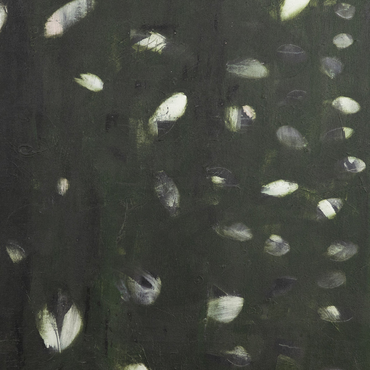 Verde Oculus By Jamie Beckwith