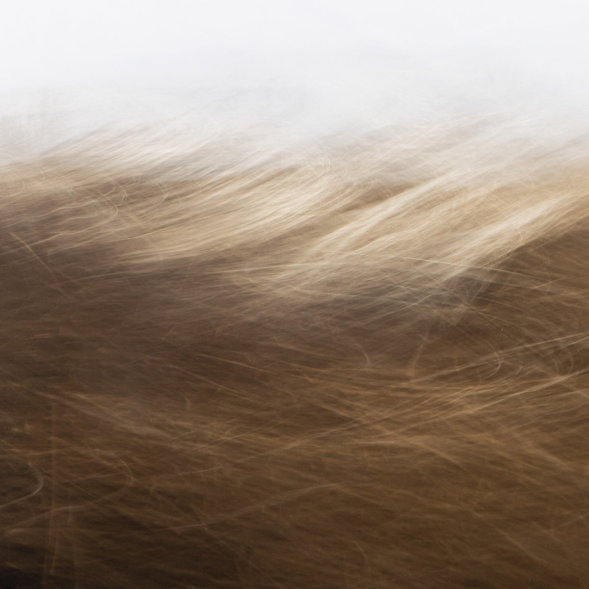 Reality Unfurled By Toni Toscano