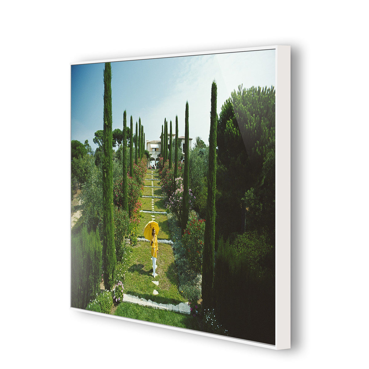 Les Sophores By Slim Aarons