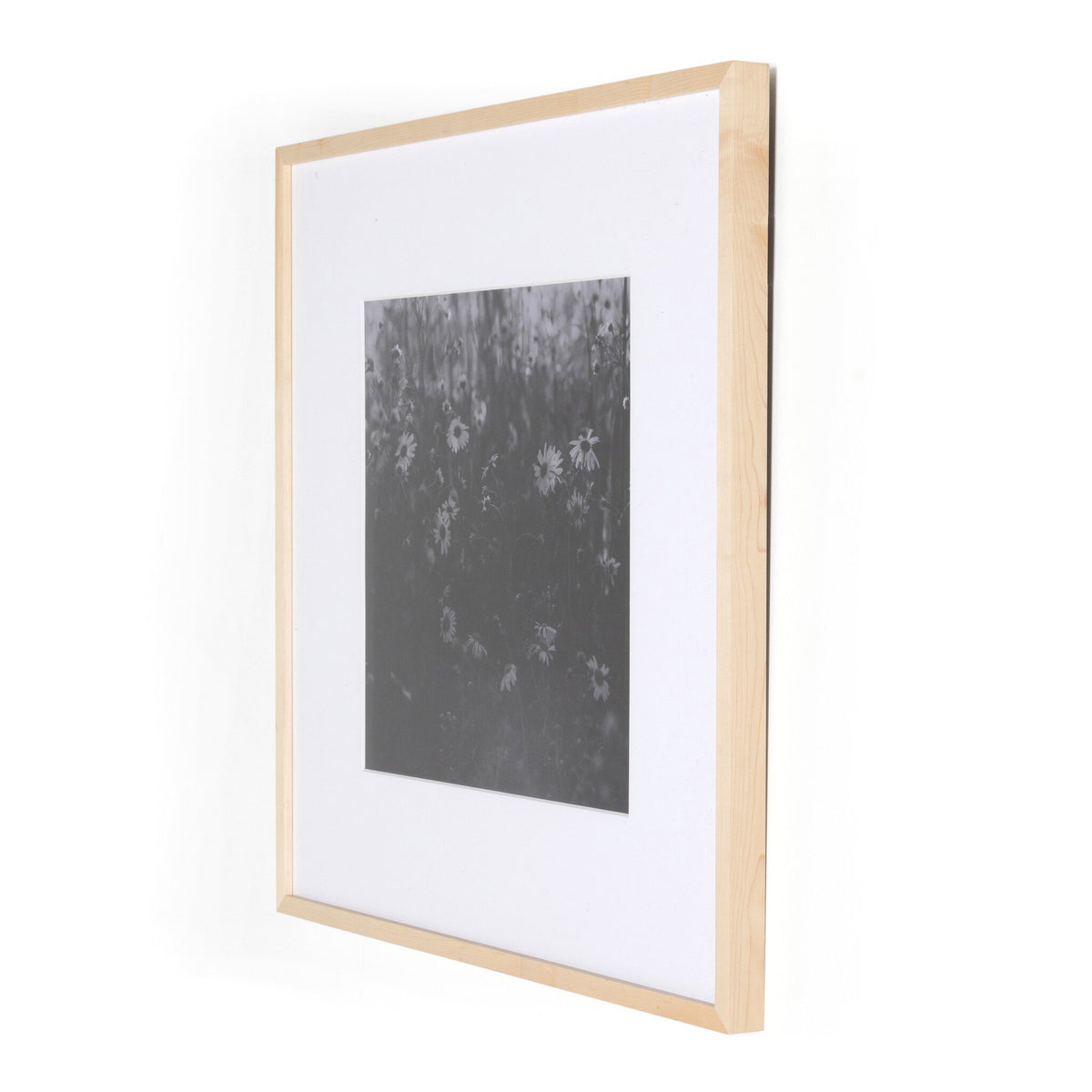 Floral Film Ii By Annie Spratt