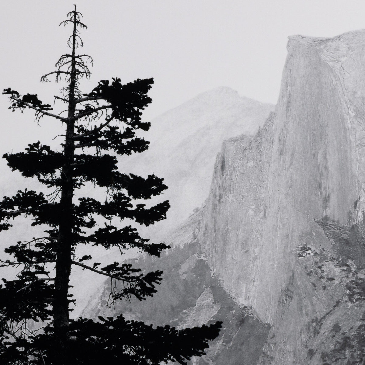 Half Dome From Glacier Point By Getty