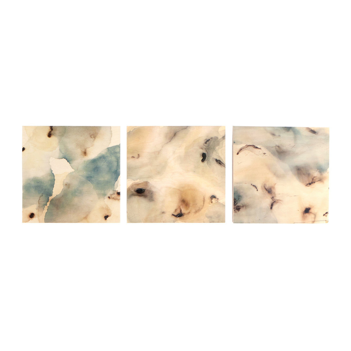 Nostalgia Underneath Triptych By Molly Franken