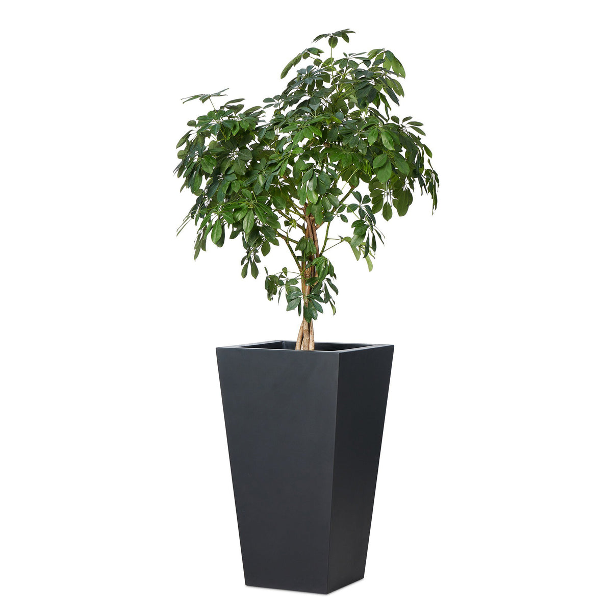 Koto Planter Tall