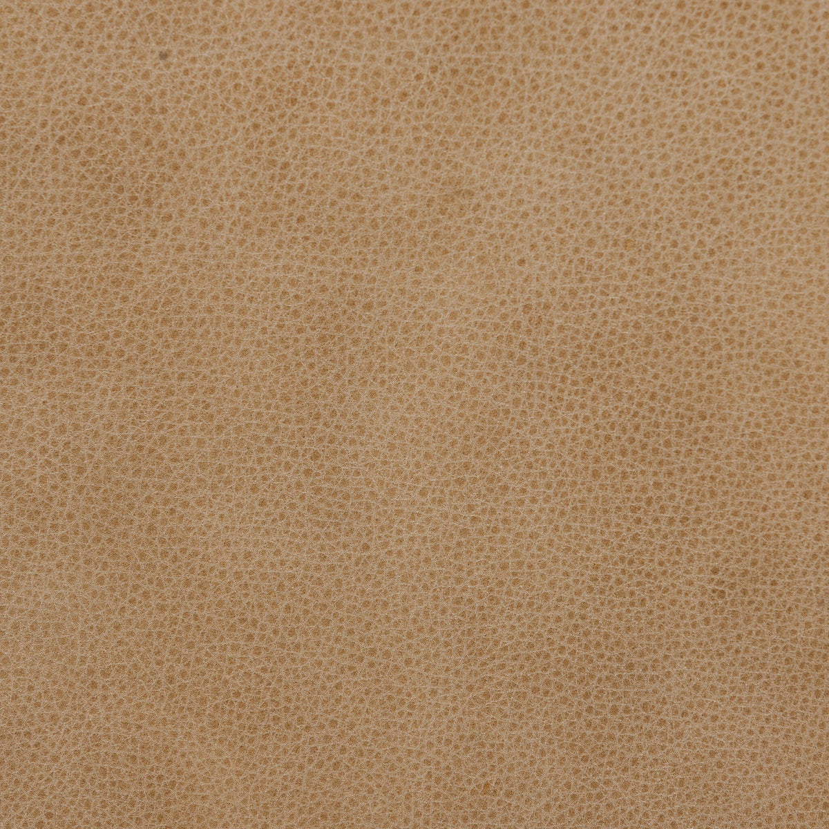 Yann Sofa-96"