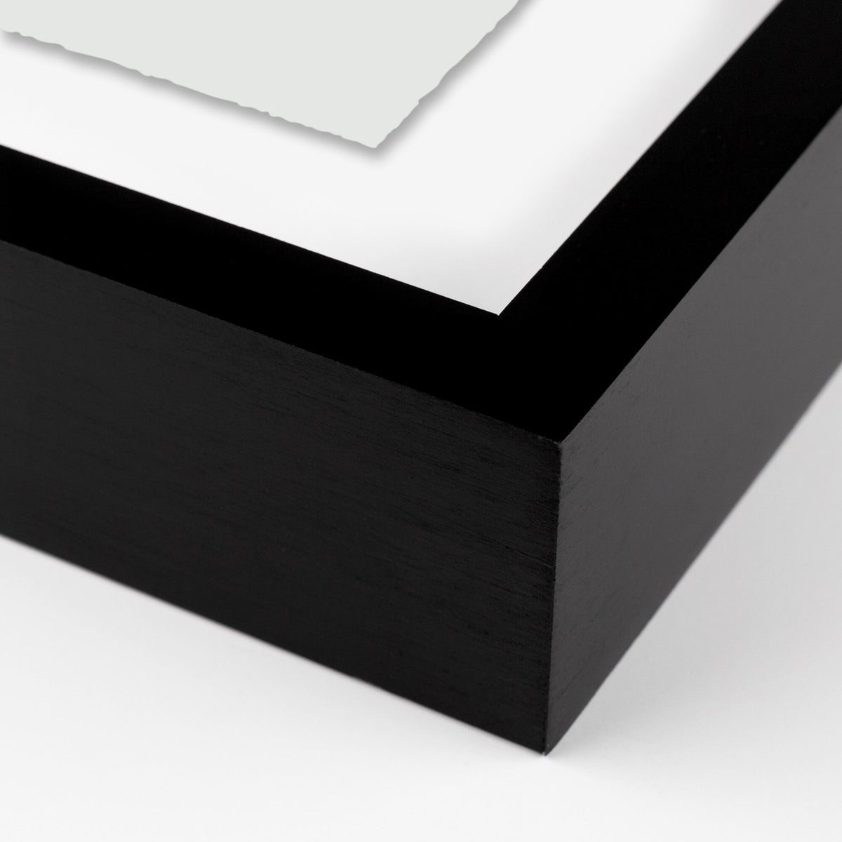 Monoprint 2 (color Edit) By Fox Print