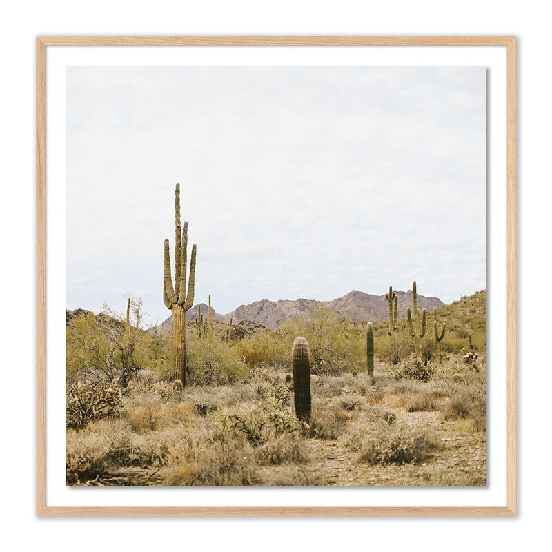 High Desert By Wesley And Emma Teague
