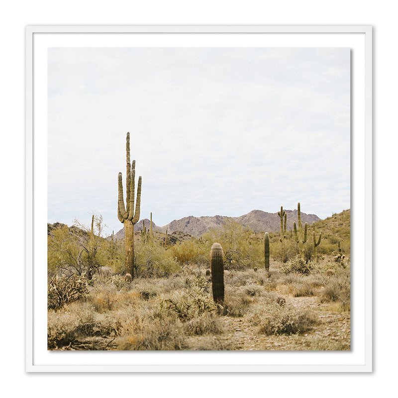 High Desert By Wesley And Emma Teague