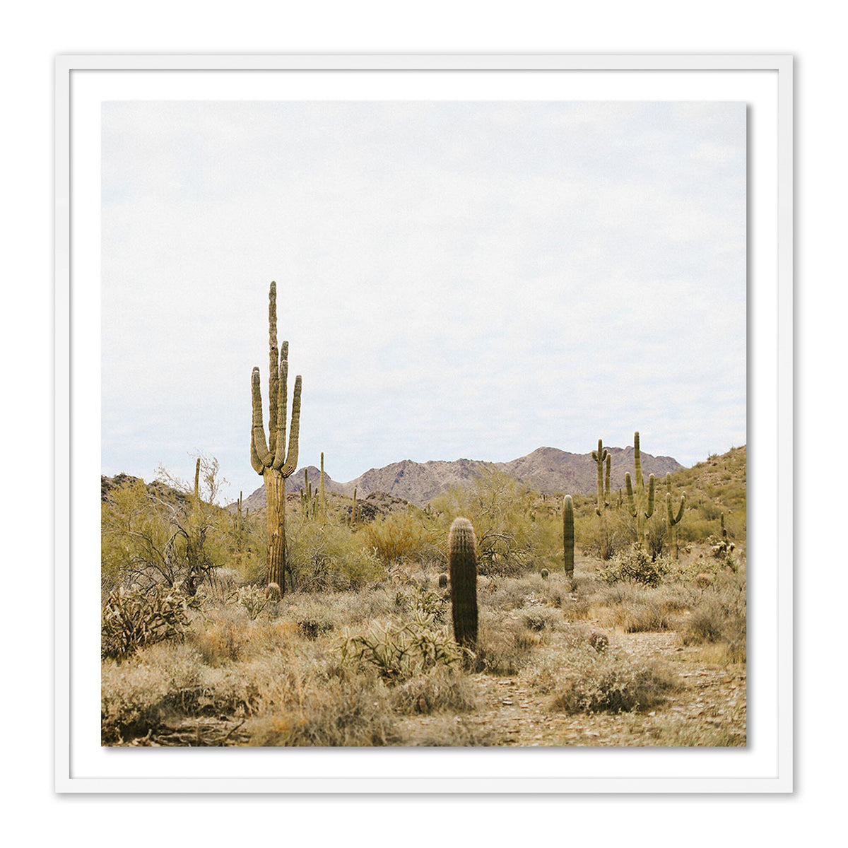 High Desert By Wesley And Emma Teague