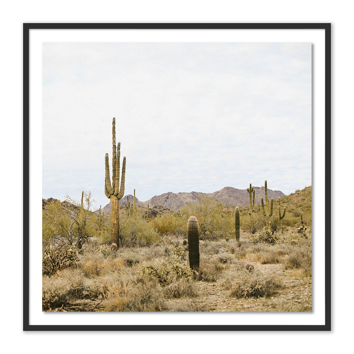 High Desert By Wesley And Emma Teague