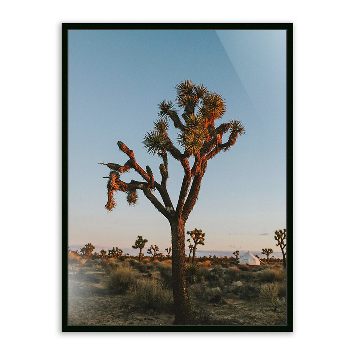 Camp By Wesley And Emma Teague