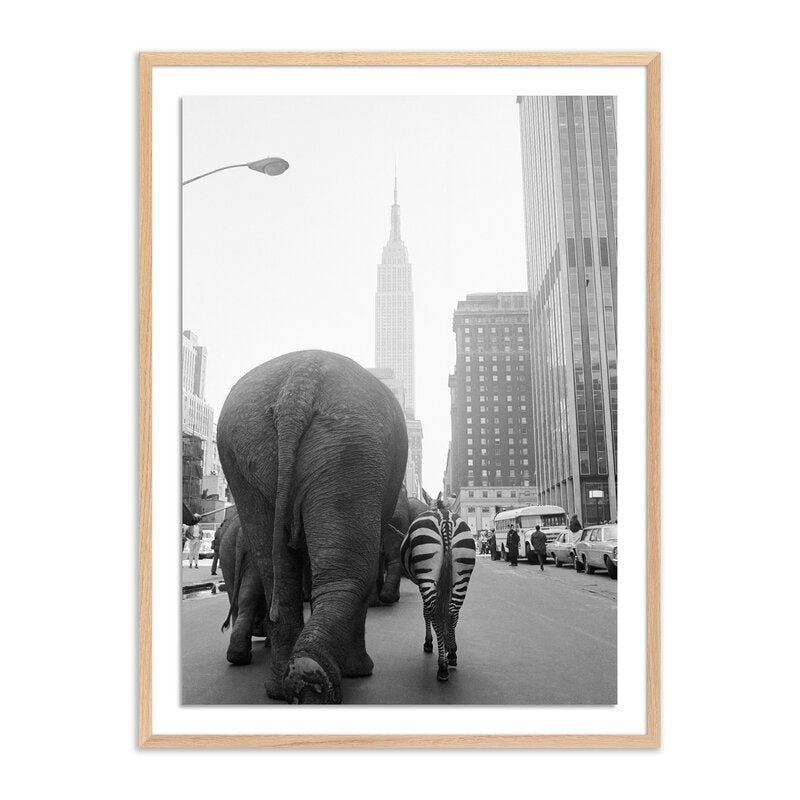 Circus Animals On 33rd St By Getty Images