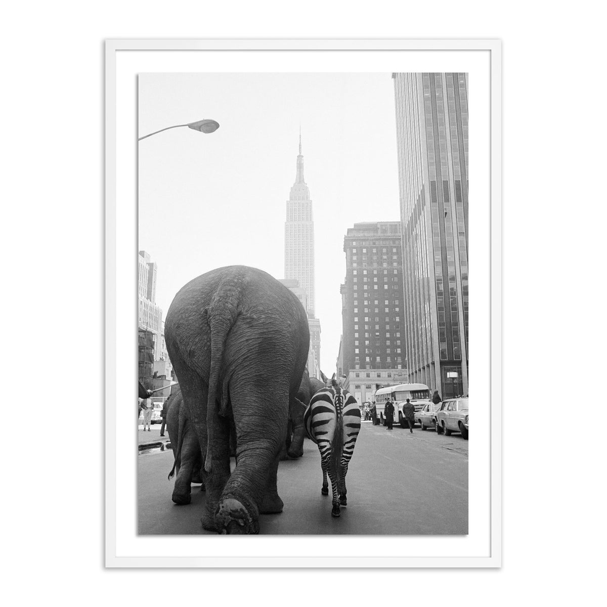 Circus Animals On 33rd St By Getty Images