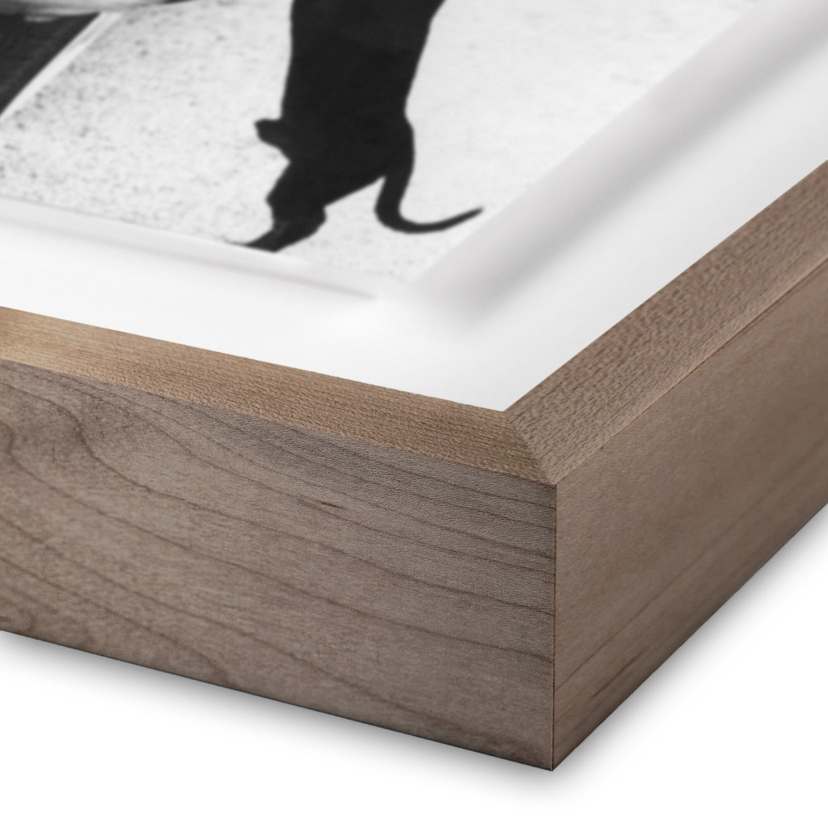 Brigitte Bardot With Dashchund By Getty Images