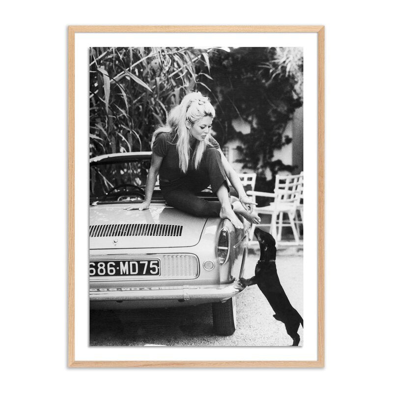 Brigitte Bardot With Dashchund By Getty Images
