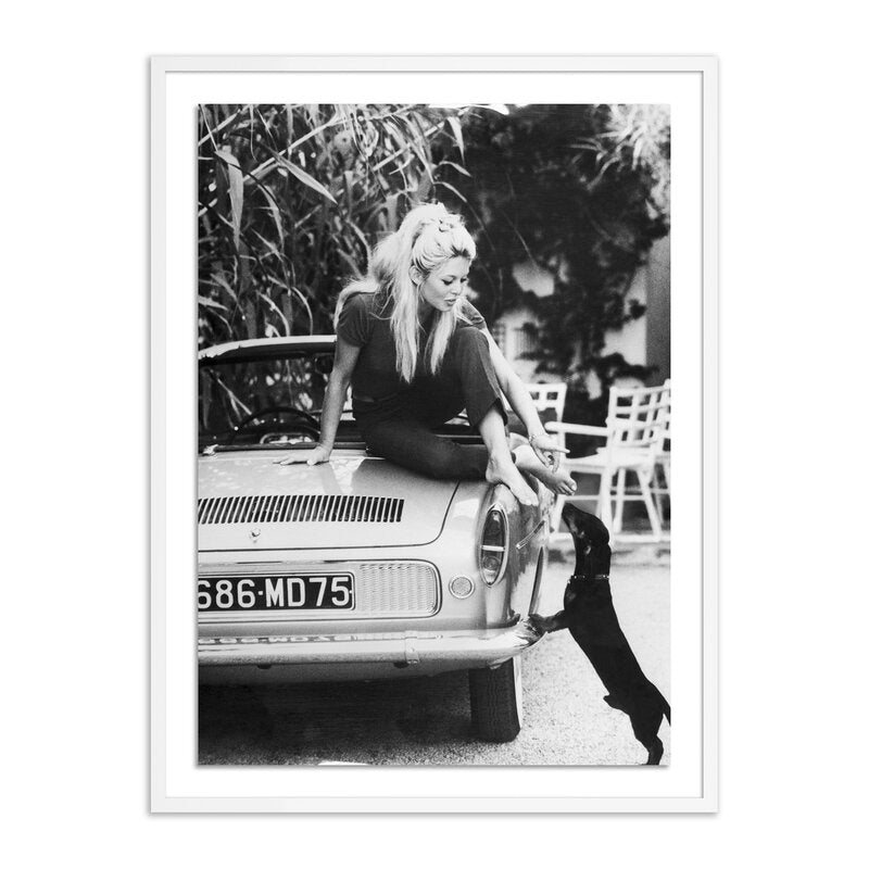 Brigitte Bardot With Dashchund By Getty Images