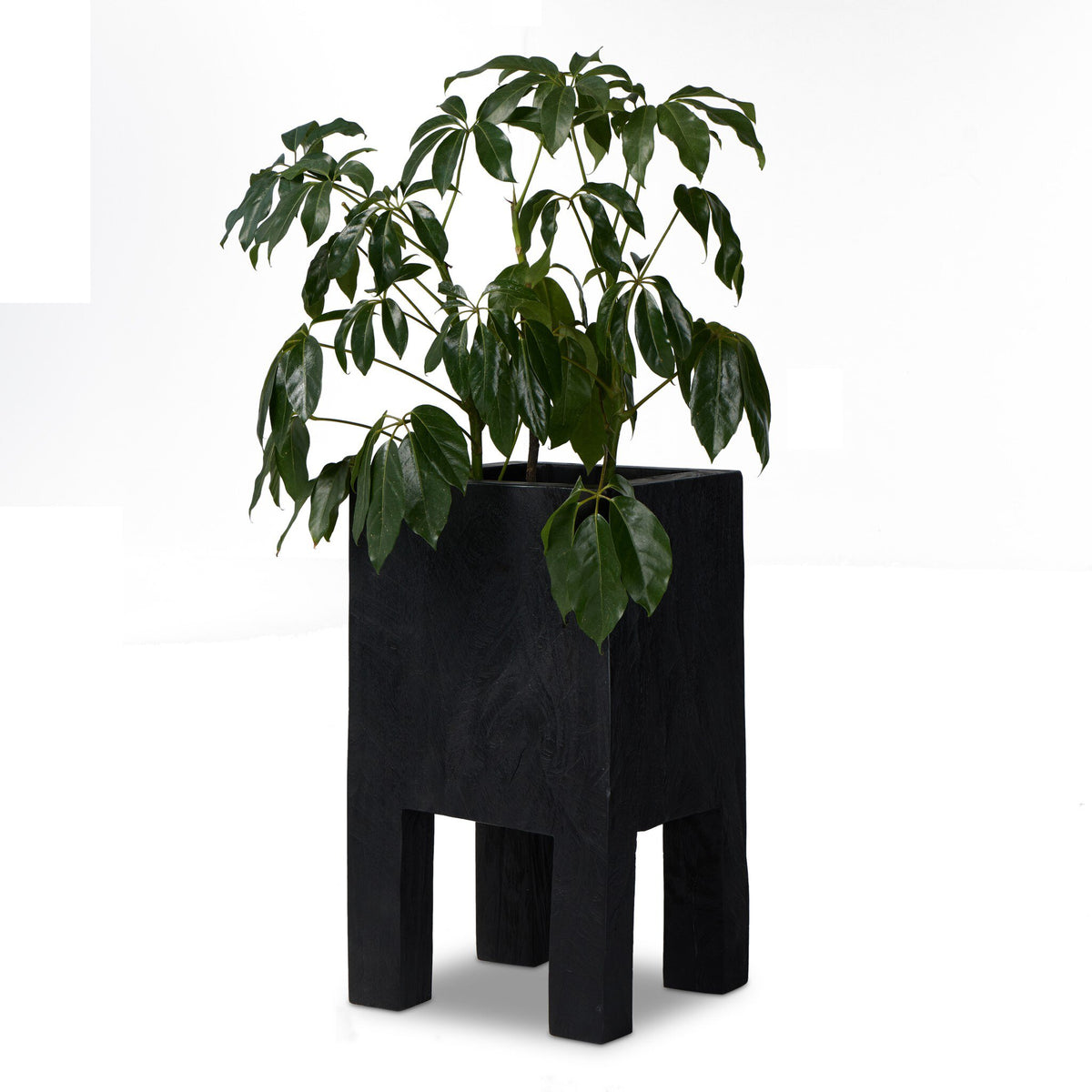 Tora Planter Large