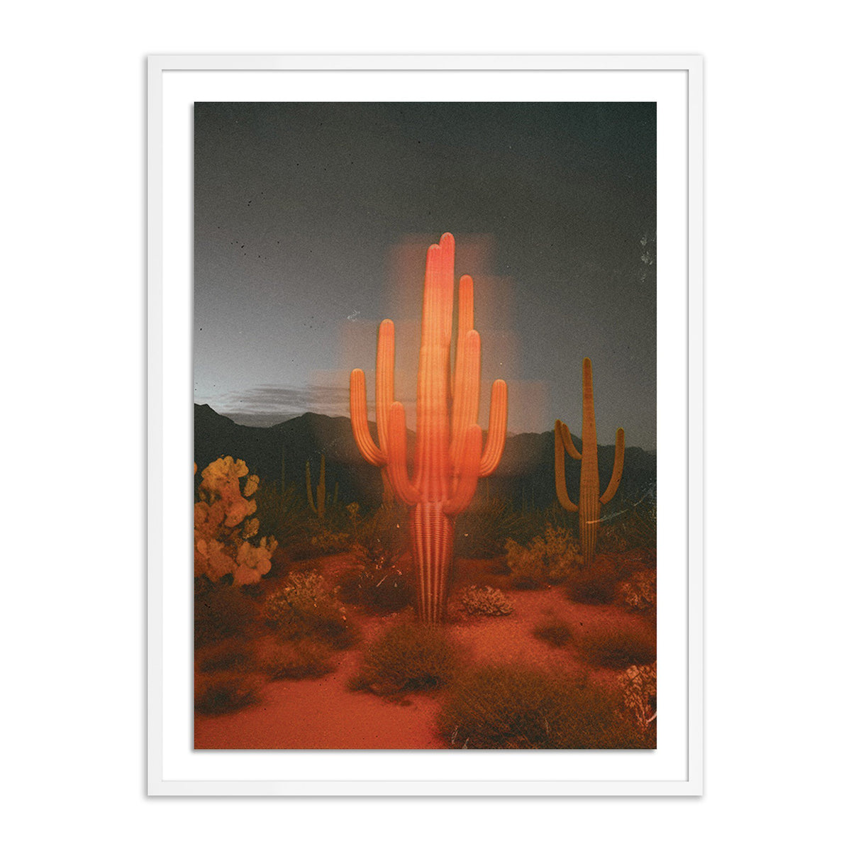 Glowing Saguaro By Coup D'Esprit