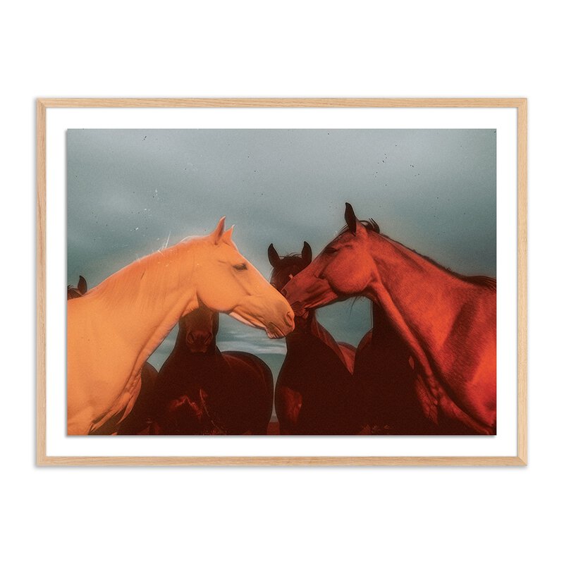 Sunset Horses By Coup D'Esprit