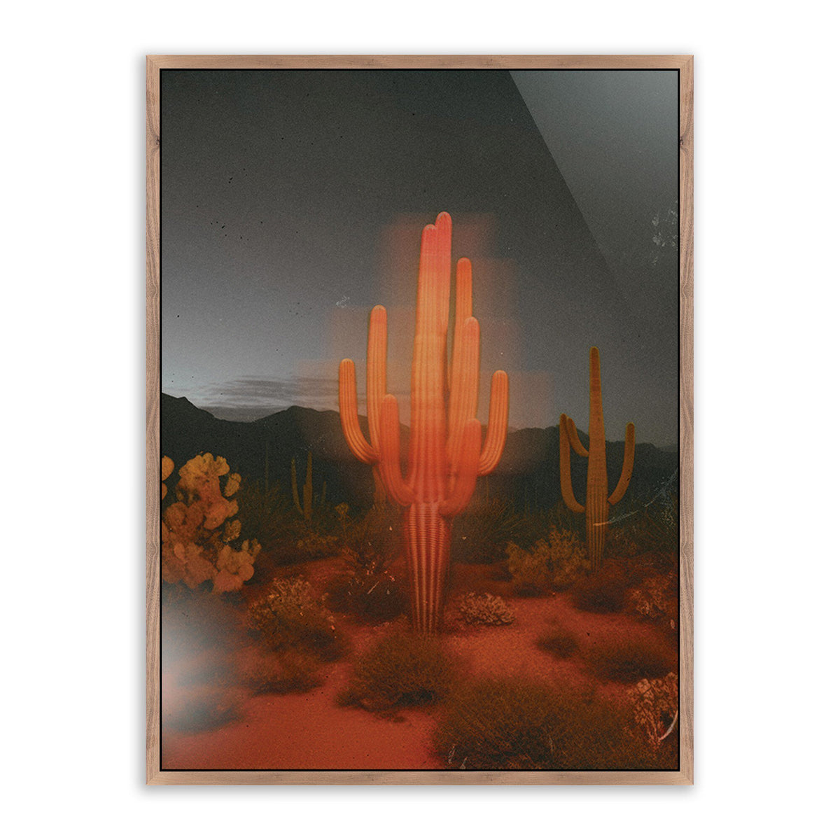 Glowing Saguaro By Coup D'Esprit