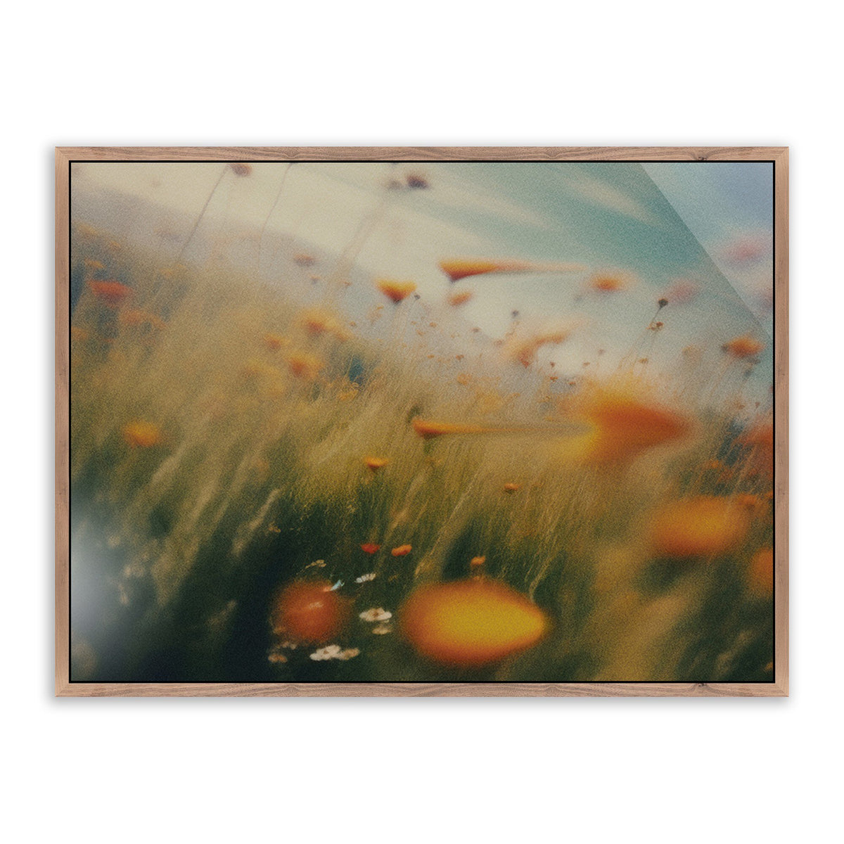 Prairie I By Coup D'Esprit