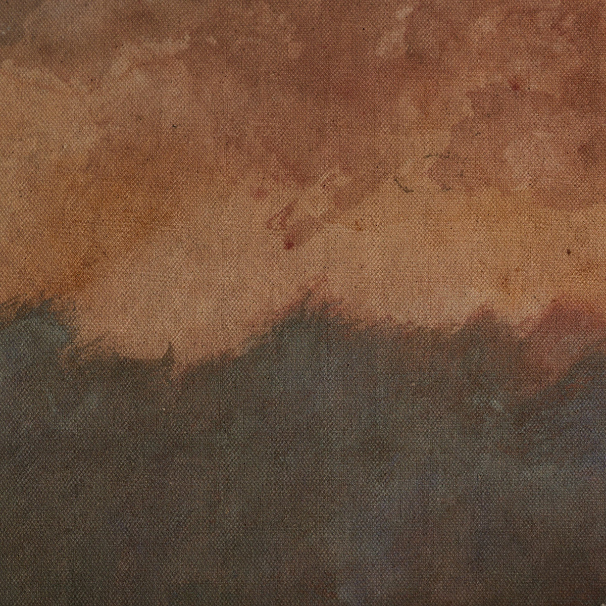 The Color Came Forth In Me By Aileen Fitzgerald