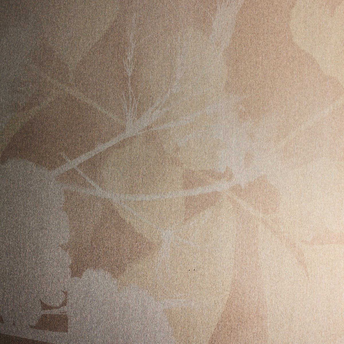 Cyanotype Botanical V By Coup D'Esprit - Four Hands (246889-003)