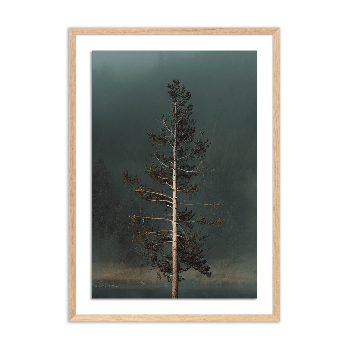 Winds I By Mandy Steinback