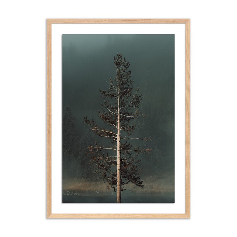 Winds I By Mandy Steinback