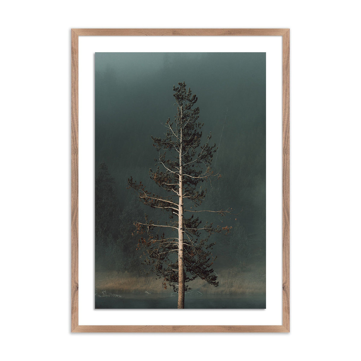 Winds I By Mandy Steinback