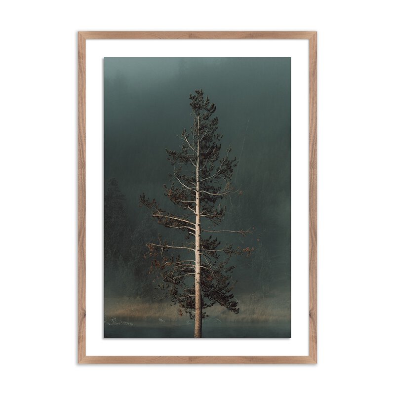 Winds I By Mandy Steinback