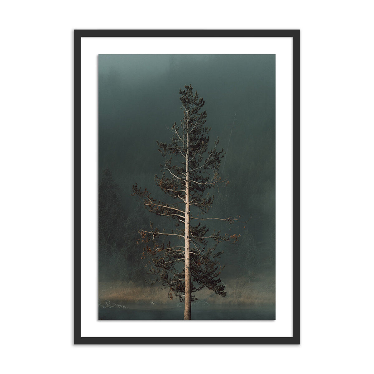 Winds I By Mandy Steinback