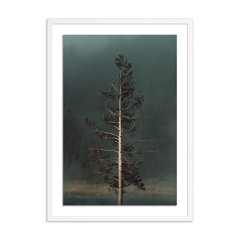 Winds I By Mandy Steinback