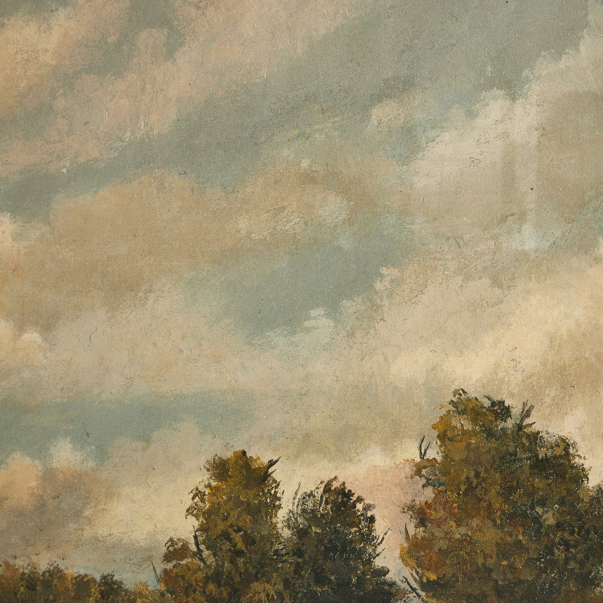 a group of trees in the sky