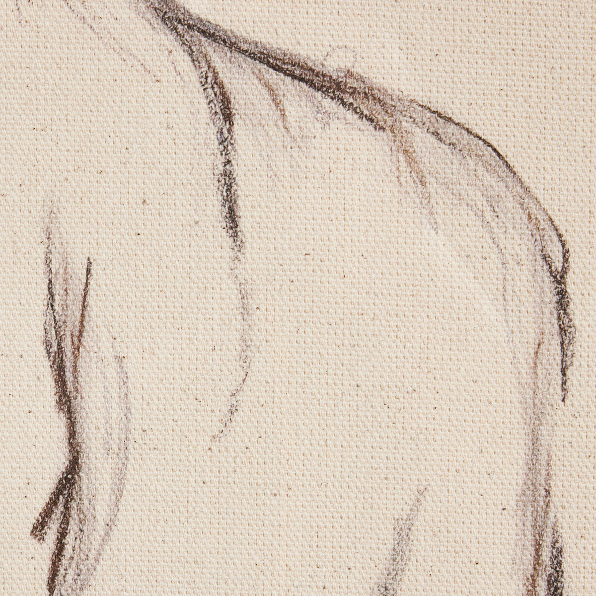 Charcoal Her By Brittney Schulz