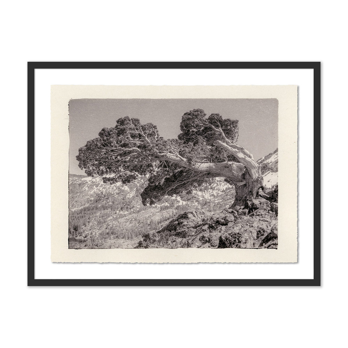 Juniper Gampi By Platinum Revival - Four Hands (FH-14346)