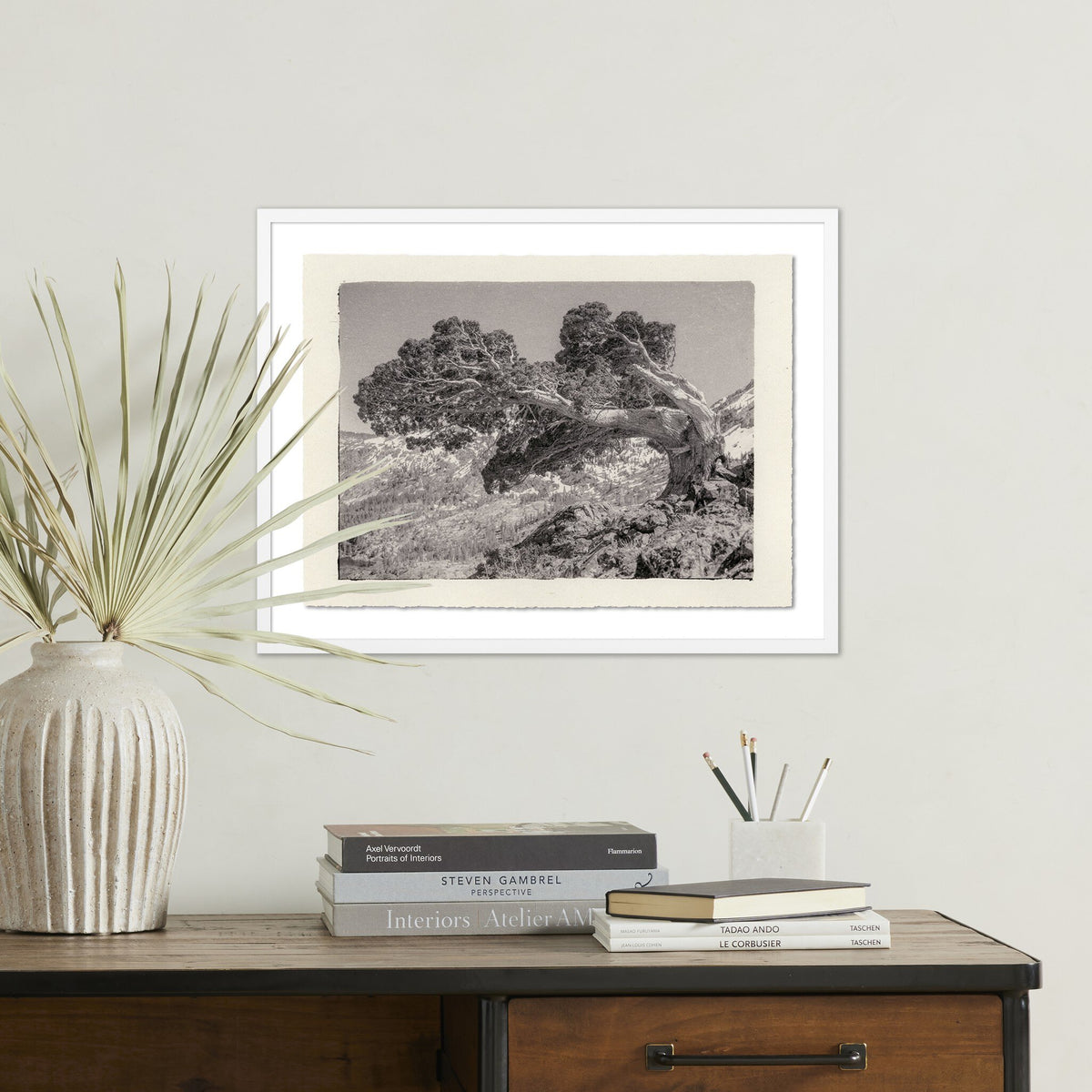 Juniper Gampi By Platinum Revival