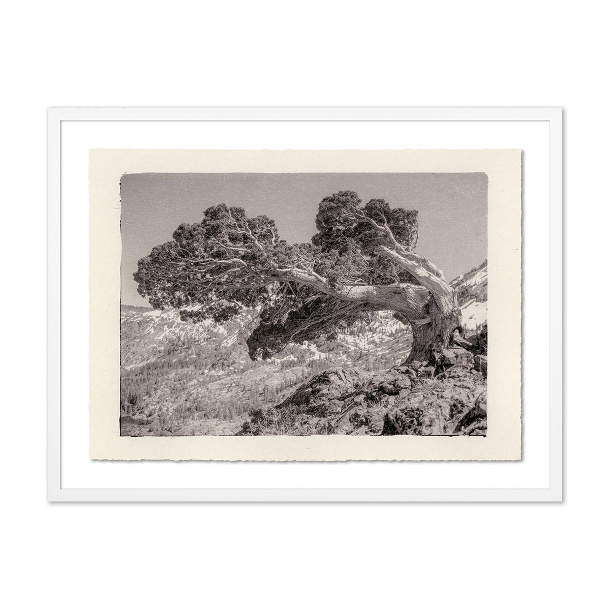 Juniper Gampi By Platinum Revival - Four Hands (FH-15363)