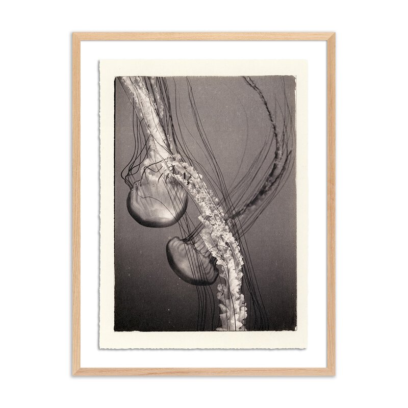 Jellies 4 By Platinum Revival - Four Hands (248087-001)
