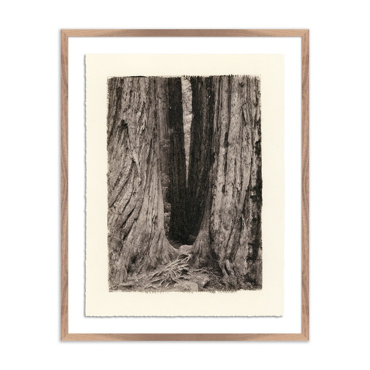 Redwoods Magical Portal By Platinum Revival - Four Hands (248090-001)