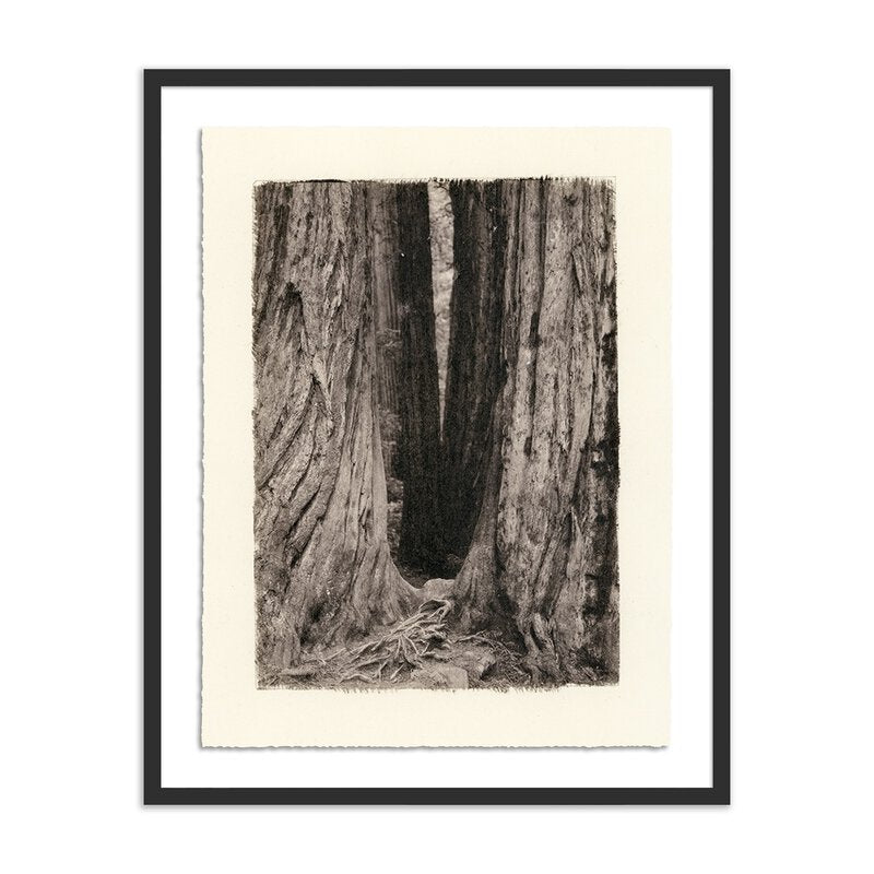 Redwoods Magical Portal By Platinum Revival - Four Hands (248090-001)